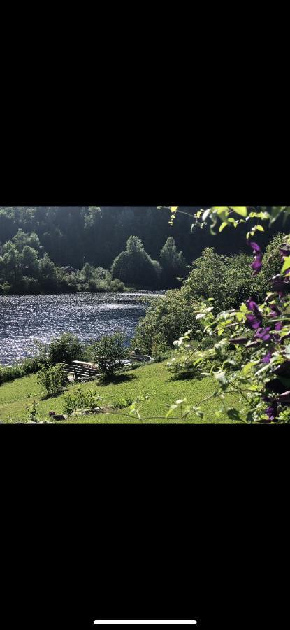 Glamping On Idyllic Lake, Paddle Boards & Rowboat Porsgrunn Esterno foto